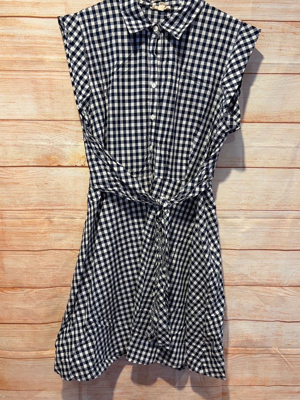 Cupio Navy & White Gingham Button-Front Dress